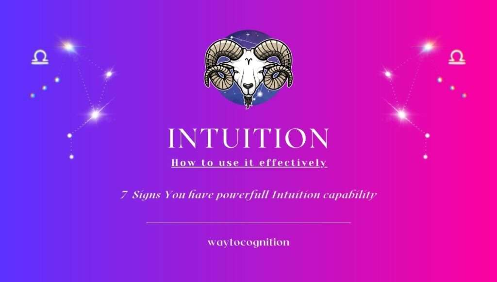 Ultimate guide to Intuition